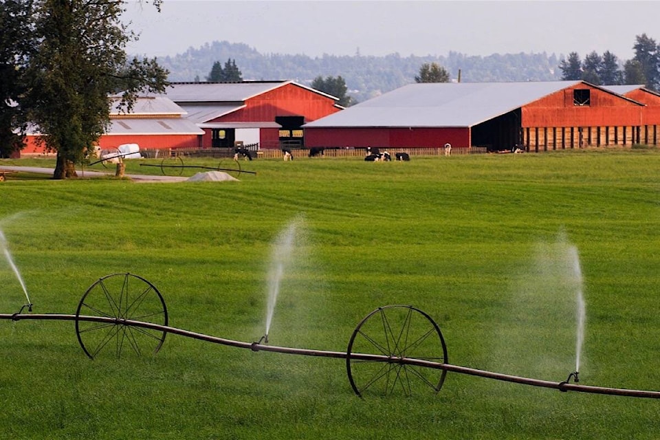 28033278_web1_20210702-BPD-Abbotsford-farm-sprinklers-bcg