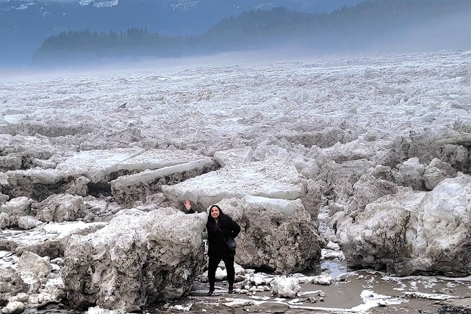 Huge blocks of ice line the Fraser River near the Agassiz-Rosedale Bridge following a severe cold snap and subsequent winter storms. (Photo/Valerie Pentz)