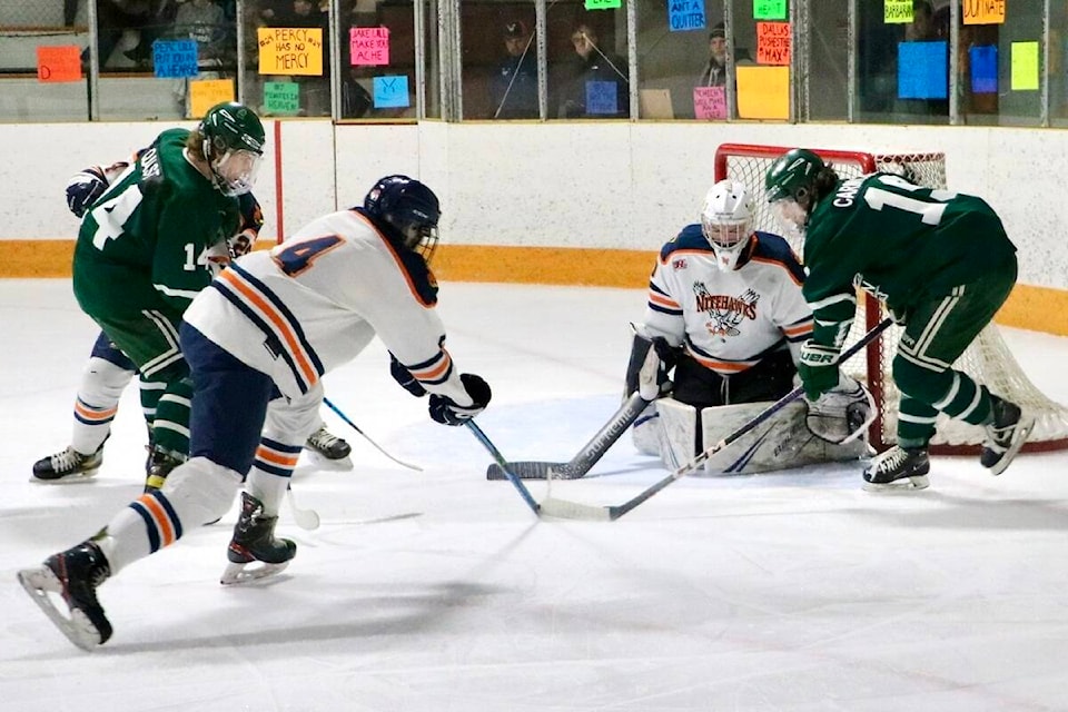 Beaver Valley Nitehawks goalie Connor Stojan makes one of 35 saves on the night in a 6-3 victory over the Nelson Leafs. Photos Jim Bailey