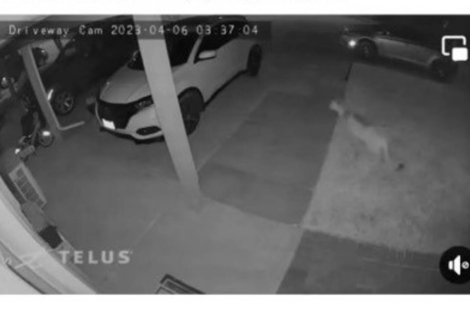 32430478_web1_230418-TDT-Trail-cops_1