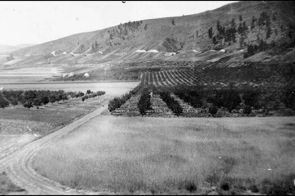 Community lands and orchards along Spencer hill, c. 1918. Photo: Submitted