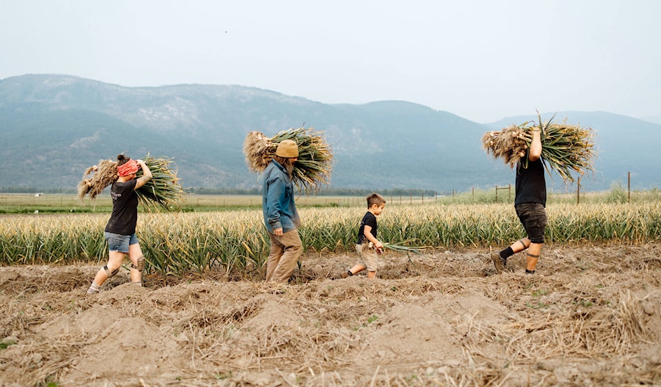 33881093_web1_copy_230914-CVA-thistle-farm-1_1