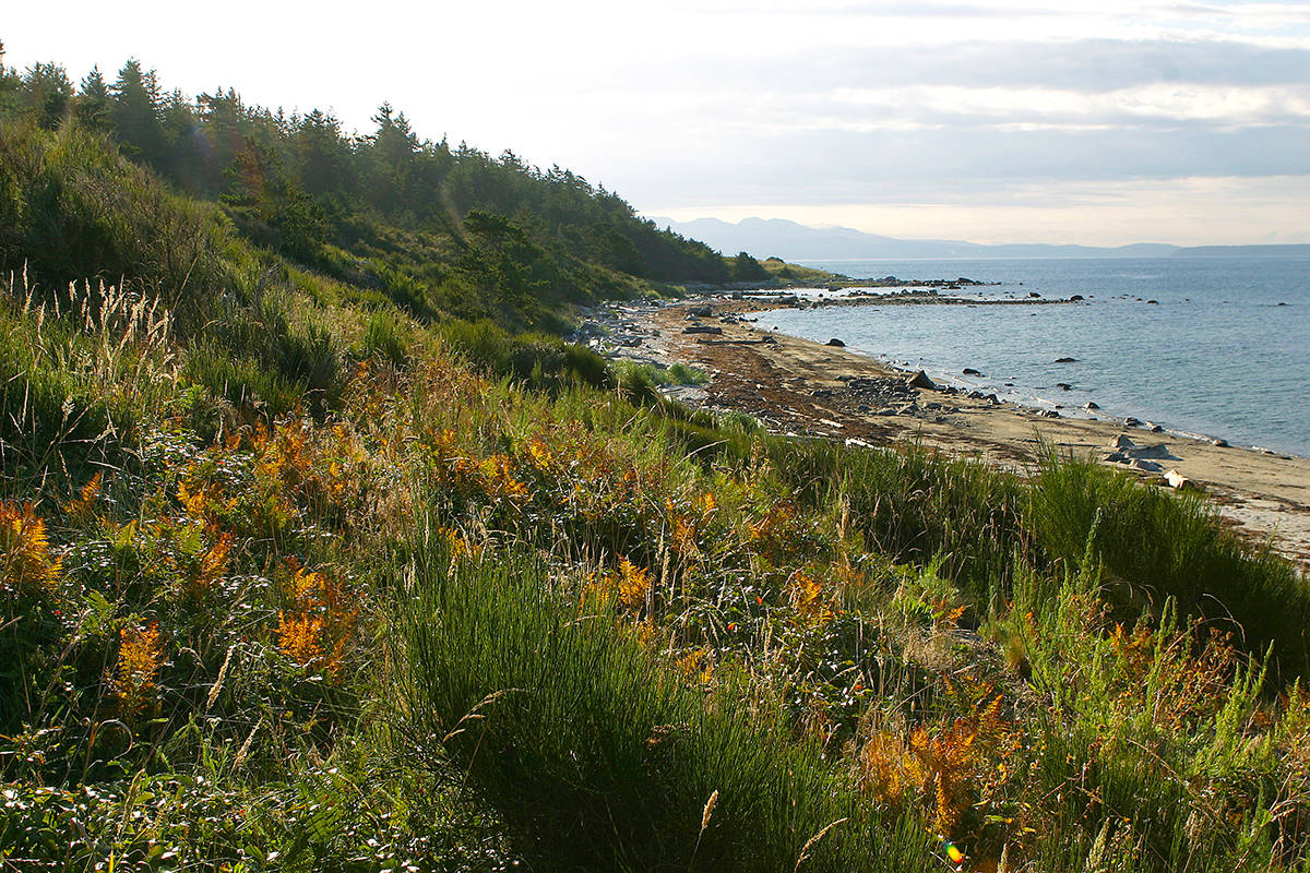 Residents, land trusts acquire ‘Heart’ of Savary Island Vancouver