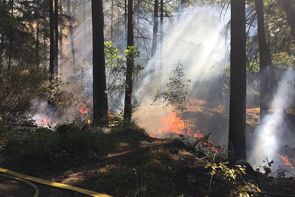 Flames were visible as firefighters worked the blaze on Maple Mountain Wednesday afternoon. (Kevin Rothbauer/Citizen)