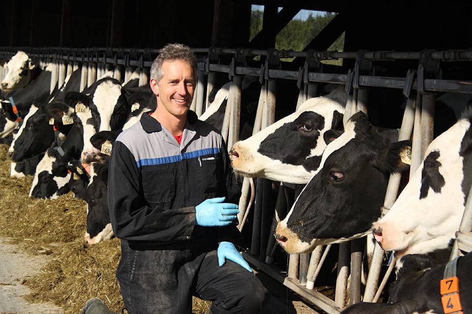 13615193_web1_8732304_web1_Chris-with-cows