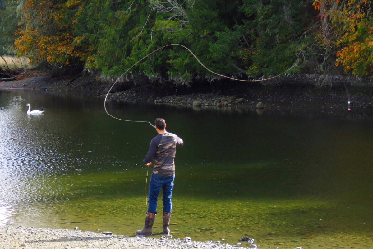 Ideas sought on B.C. freshwater fishing rules Vancouver Island Free Daily