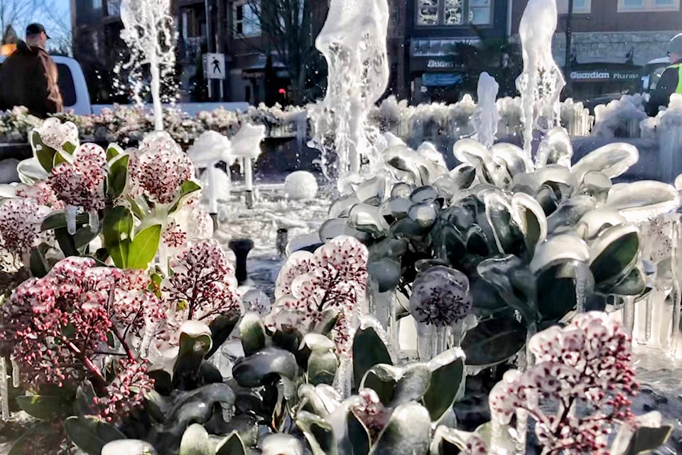 Reader Leanne Edlington captures the stunning image of the fountain in the roundabout on Goldstream Avenue as temperatures dip across the south Island. (Leanne Edington photo)