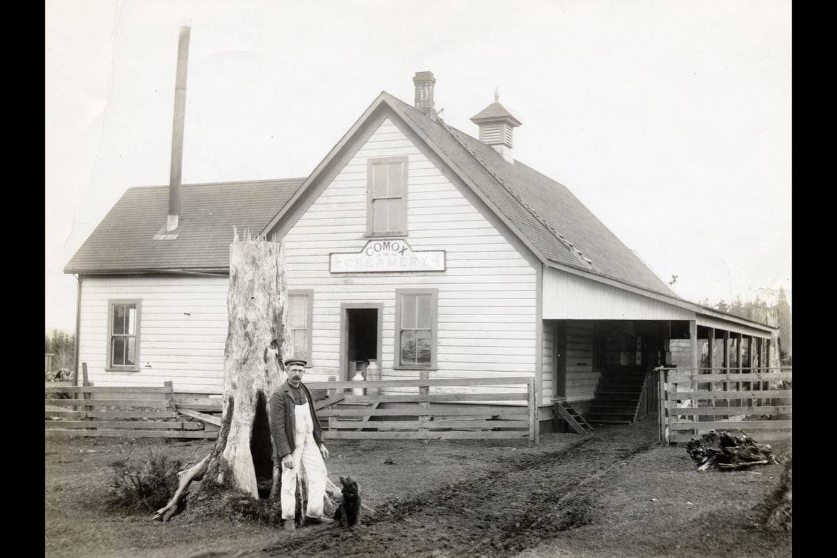 Remembering 100 years of Comox dairy Vancouver Island Free Daily