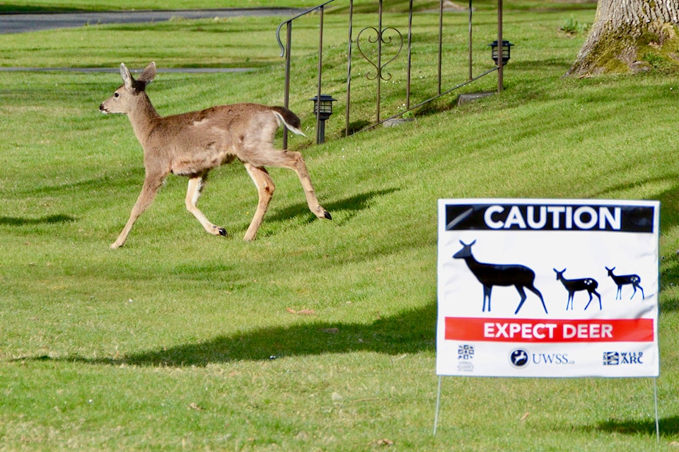 15706567_web1_Deer-crossing-with-sign