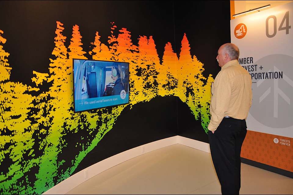 Harmac’s Cam Milne surveys part of the new Forests Forever exhibit at the BC Forest Discovery Centre, which opened Wednesday. (Warren Goulding/Citizen)