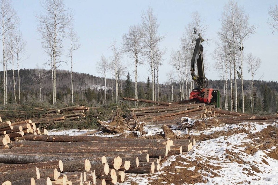 17275215_web1_190604-CCI-M-14484129_web1_181119-BPD-logging-interior-Quesnel