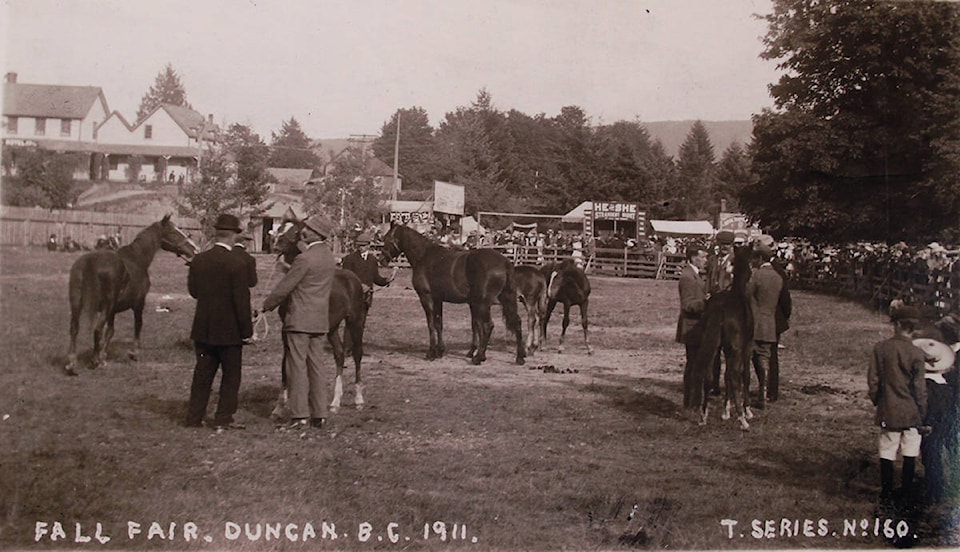 18522415_web1_showing-horses-1911