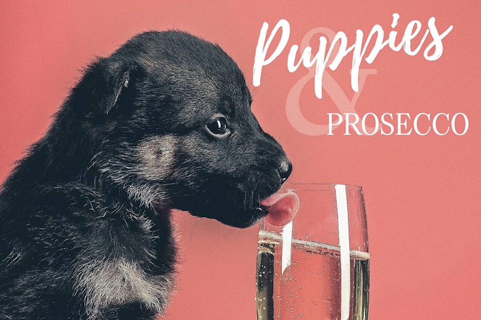 18541564_web1_190912-VNE-PuppiesProsecco