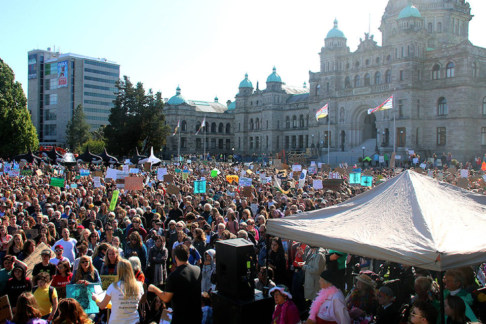 Thousand of people flooded the B.C. Legislature lawn Friday afternoon in support of the Global Climate Strike. (Kendra Crighton/News Staff)