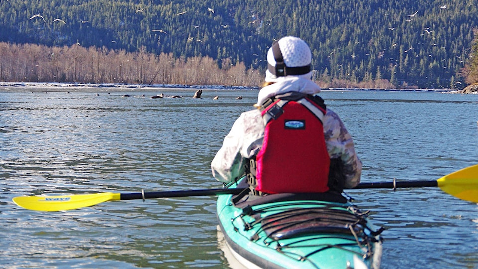 19053847_web1_THUMB-PRU-ShannonKayaking2..Skeena.Eulachon.SteveMilumPhoto