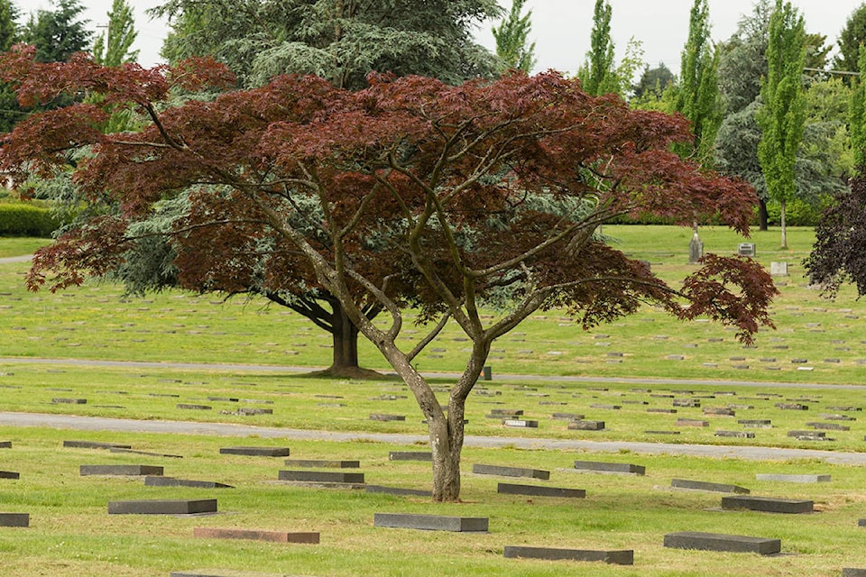 19123801_web1_mountain-view-cemetery