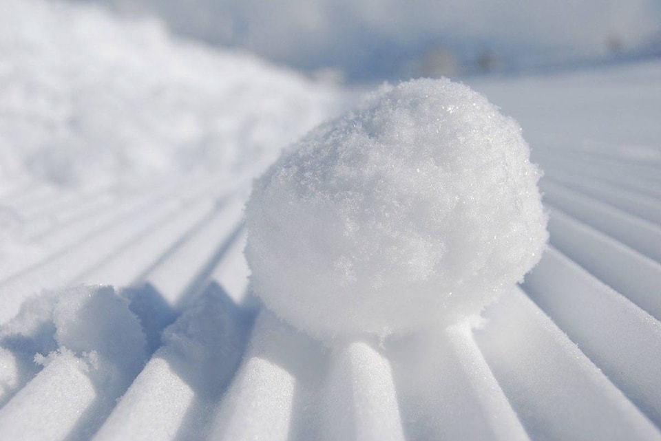 20186083_web1_200116-SNE-Snowballs-At-Cars_1