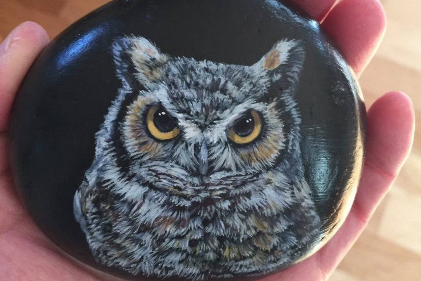 Rock painting gains popularity on Vancouver Island - Vancouver Island Free  Daily