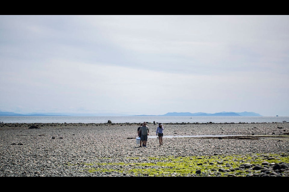 People walk away from the Willow Point Reef in Campbell River, B.C. on July 19, 2020. The low tide was below one metre today, around 0.5 metres and people gathered to see what marine critters the lower tide had revealed. Photo by Marissa Tiel – Campbell River Mirror