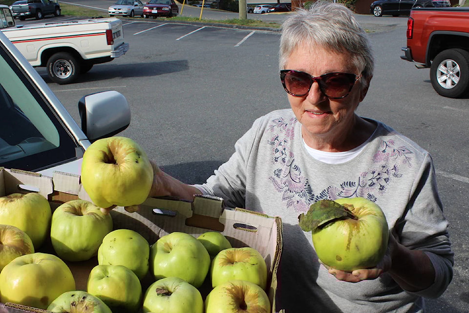 23072669_web1_201021-NBU-giant-apples-1_1