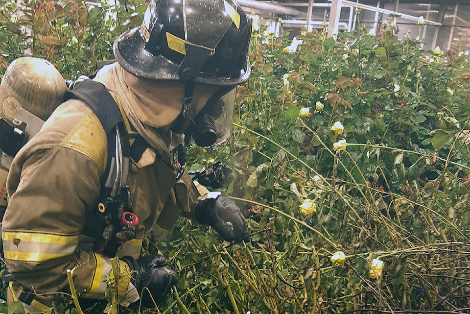 23442722_web1_201125-PNR-Eurosa-Farms-Fire_1