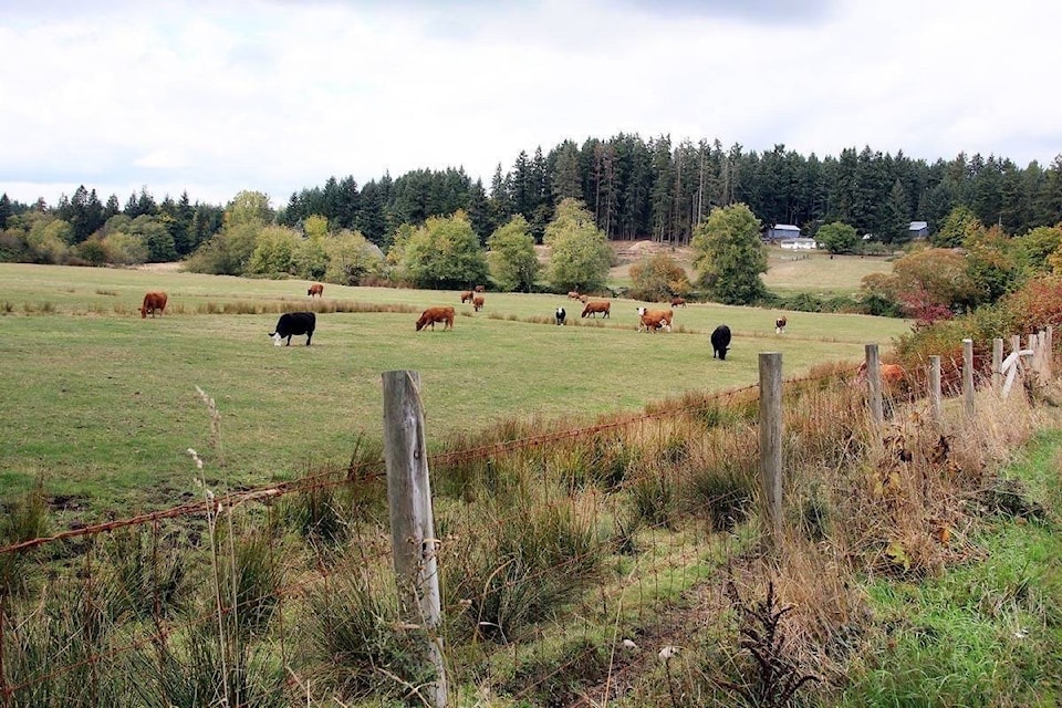 23511122_web1_201126-CCI-North-Cowichan-farm-land-PICTURE_1