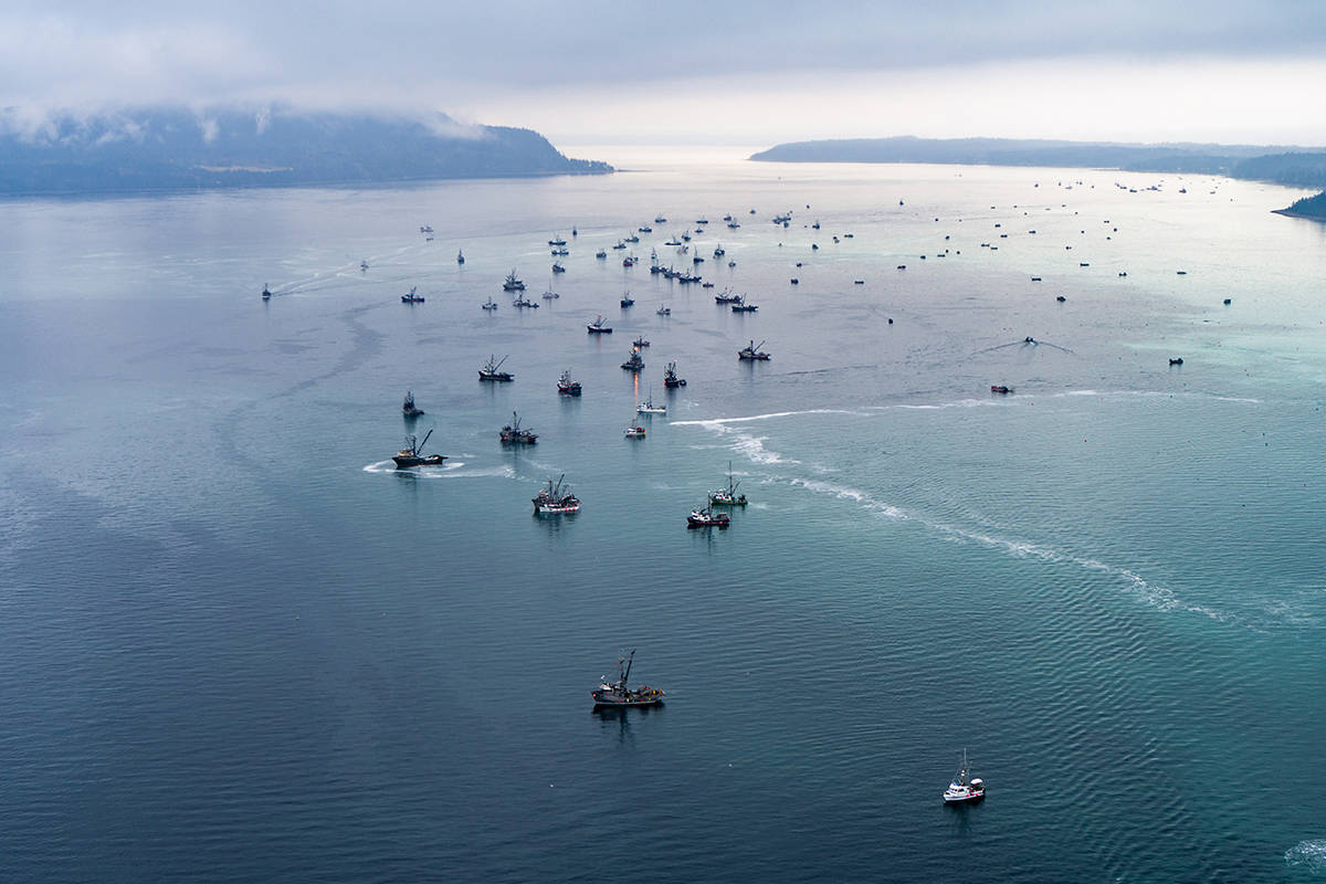 Quota debate heats up on the eve of Vancouver Island herring fishery