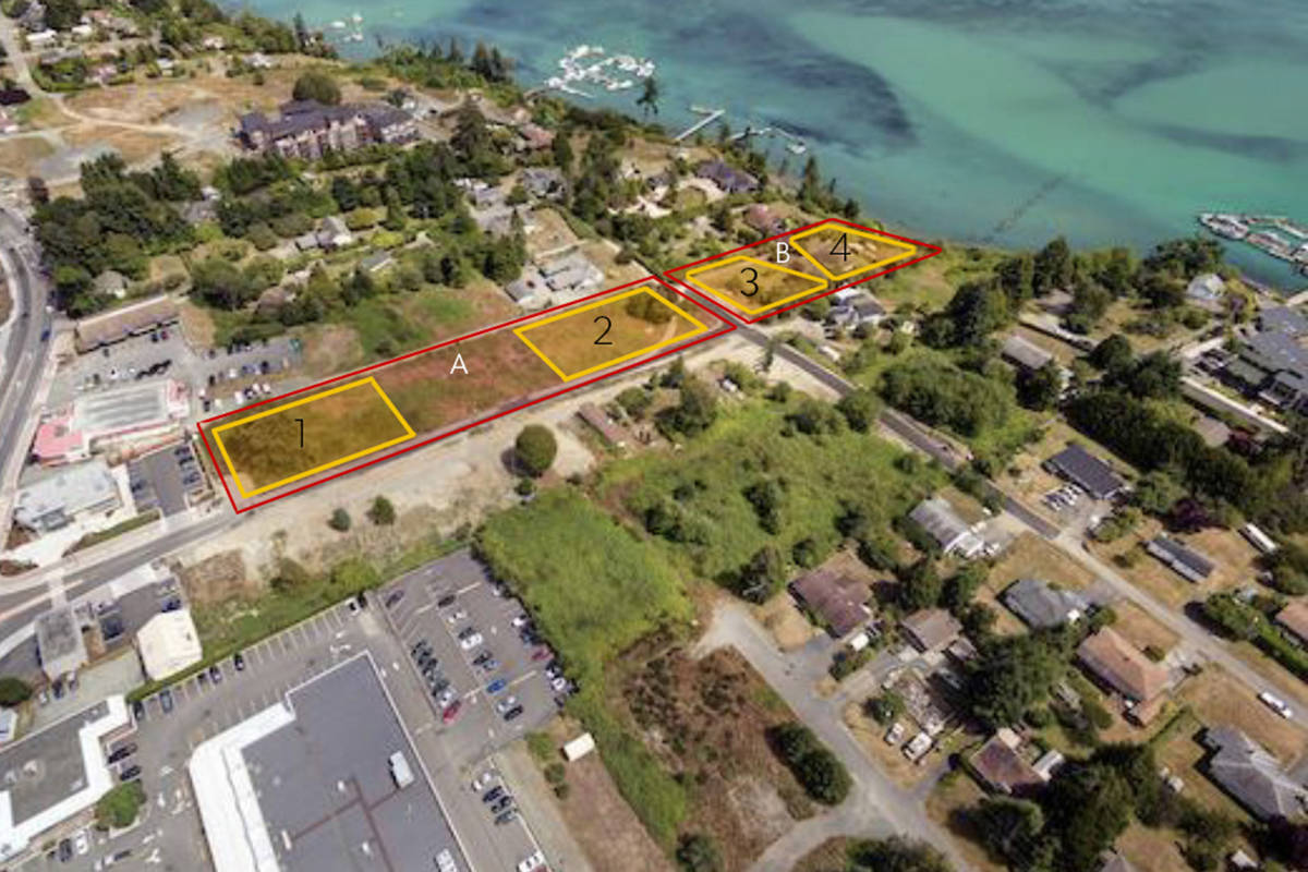 24493606_web1_210303-SNM-Large-Development-Eyed-sooke_1