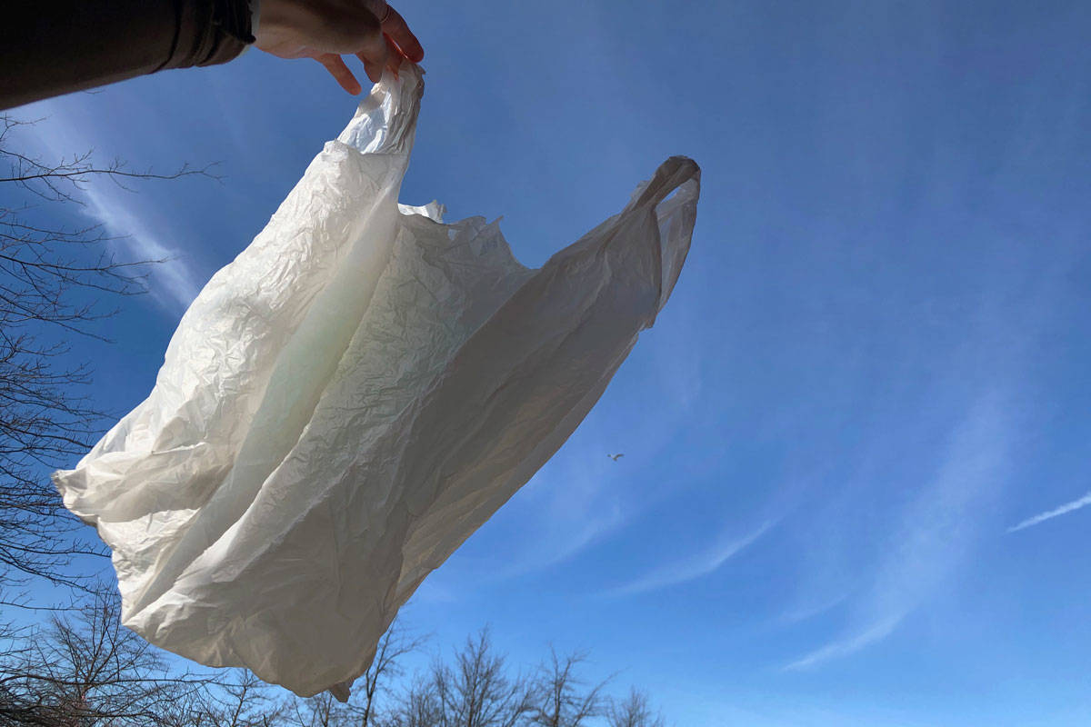 24594066_web1_210316-SNE-PlasticCheckoutBagBan-plasticbags_2