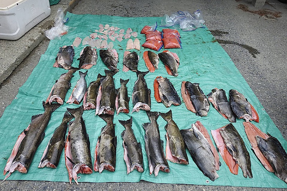 24818185_web1_190918-CRM-confiscated-fish