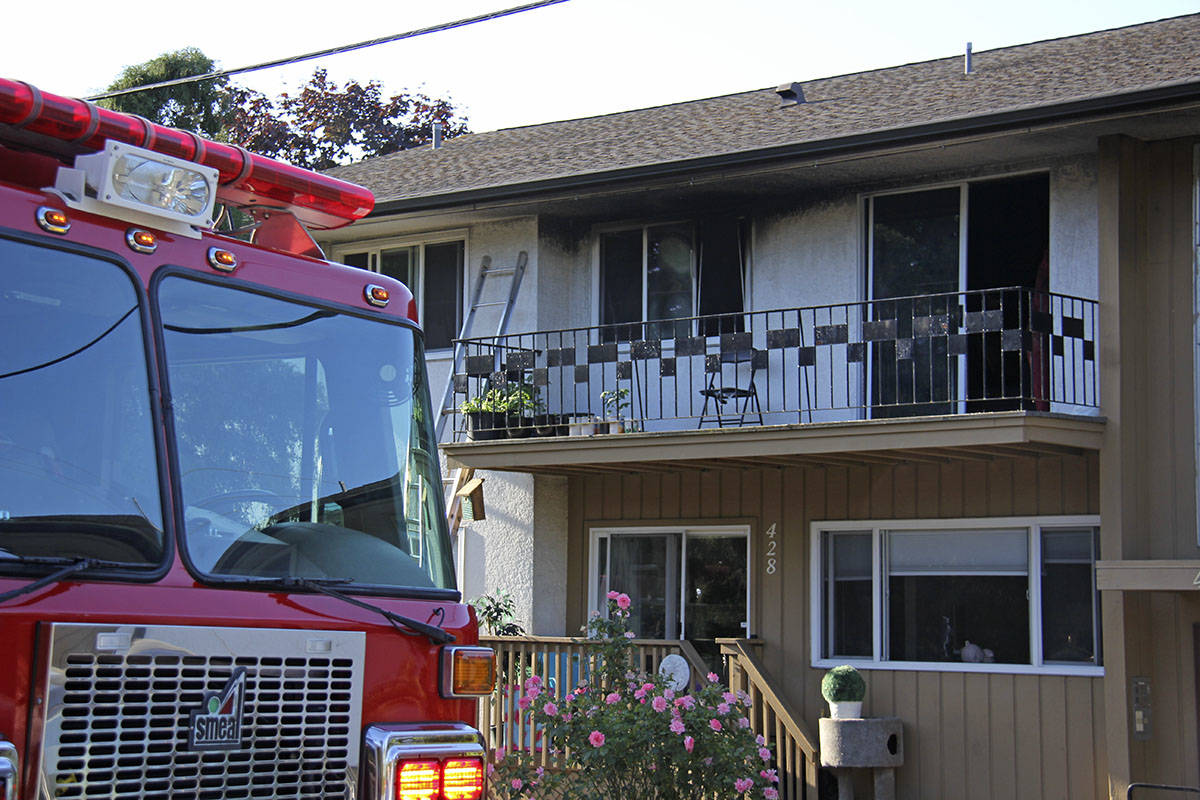 UPDATE Saanich firefighters save cat from Burnside Road apartment fire