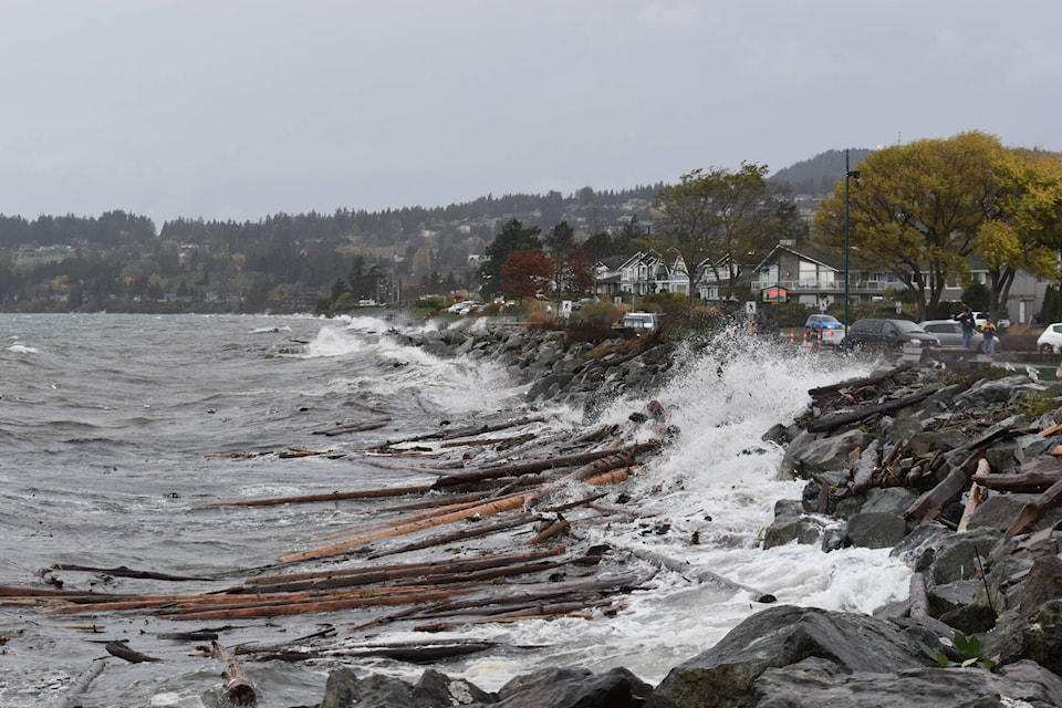 Logs beat against the rocks near Tulista Park in Sidney. (Wolf Depner/News Staff)