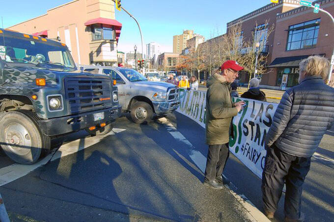 27999457_web1_220202-NBU-save-old-growth-protest-downtown-1_1