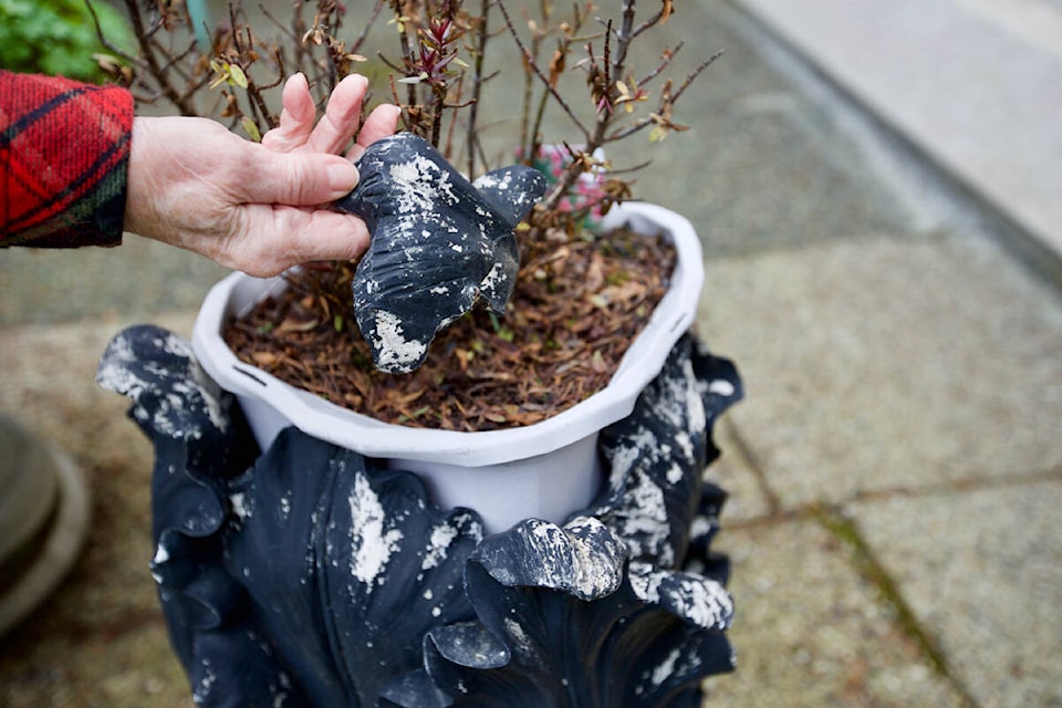 Andrea Martin has been left feeling unsafe in her Langford home after items were damaged overnight by vandals, including several flower pots that were knocked over. (Justin Samanski-Langille/News Staff)