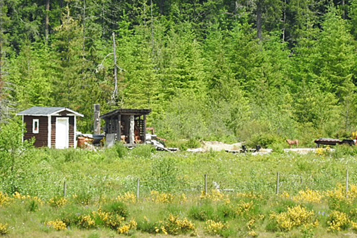 Fire destroys building at Port Alberni Christmas tree farm Vancouver