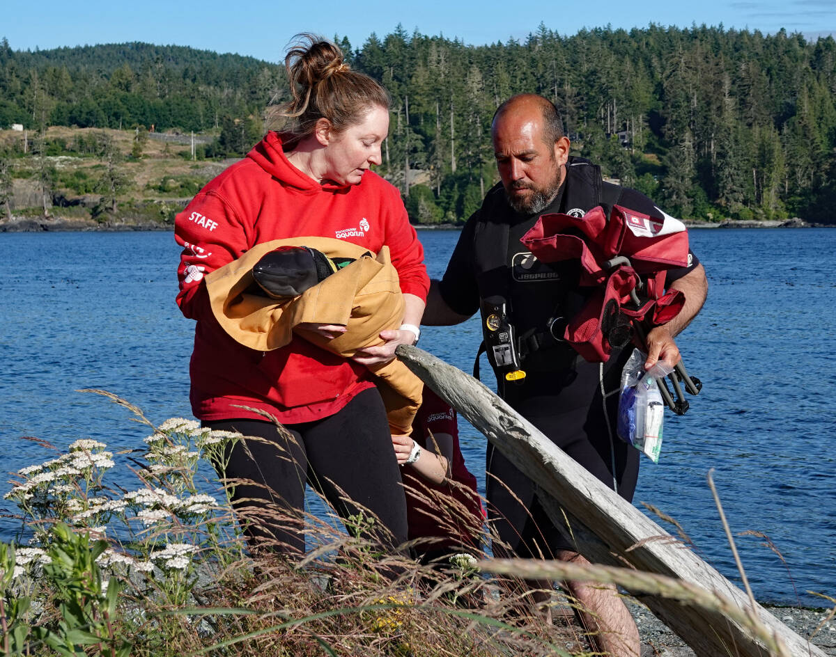 29736266_web1_220714-SNM-Baby-Porpoise-Rescue-submitted_4