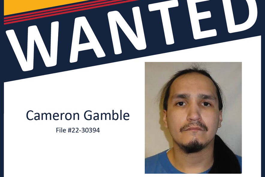 UPDATE Greater Victoria Emergency Response Team tracks, arrests