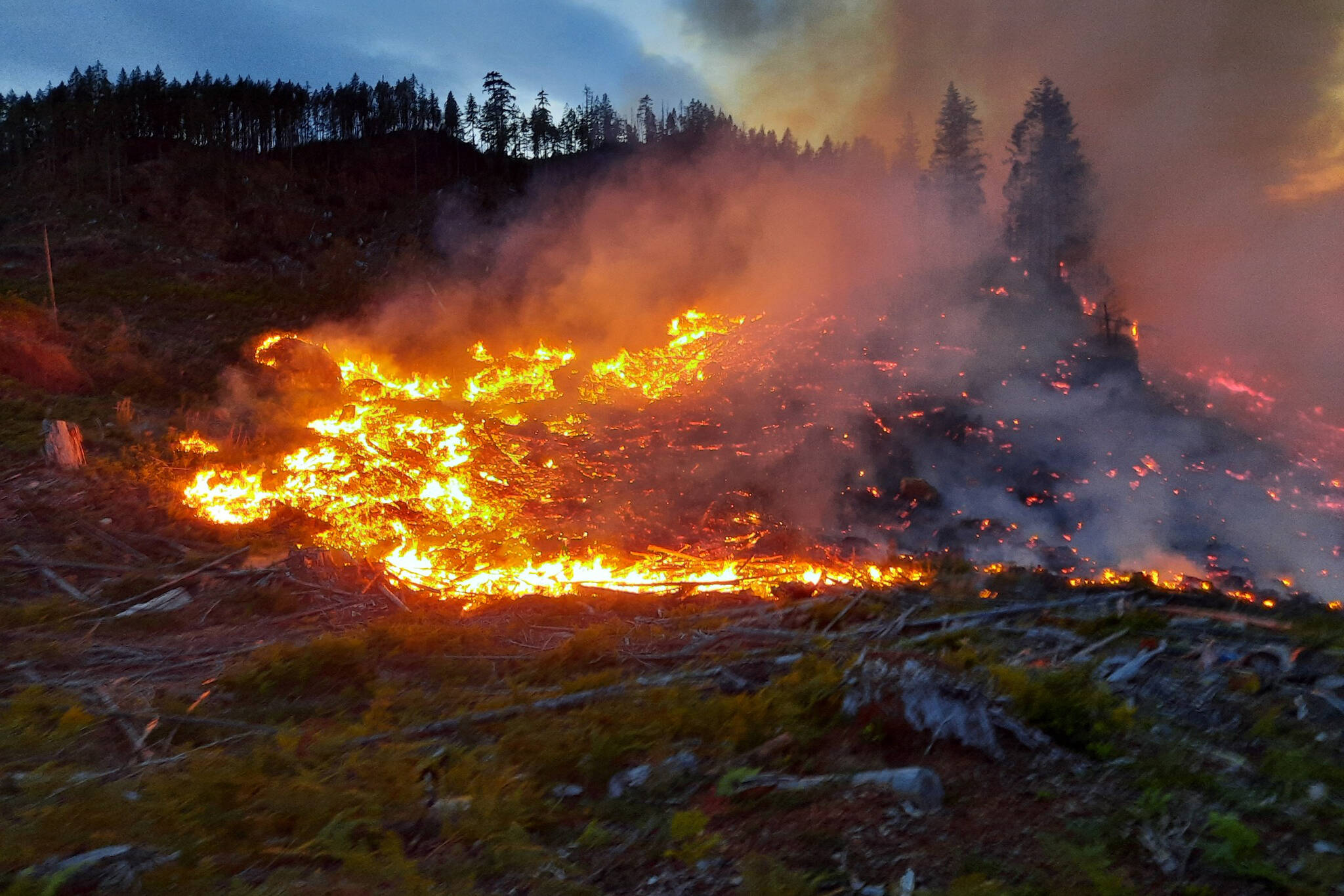 Wildfire burns near Great Central Lake in Port Alberni