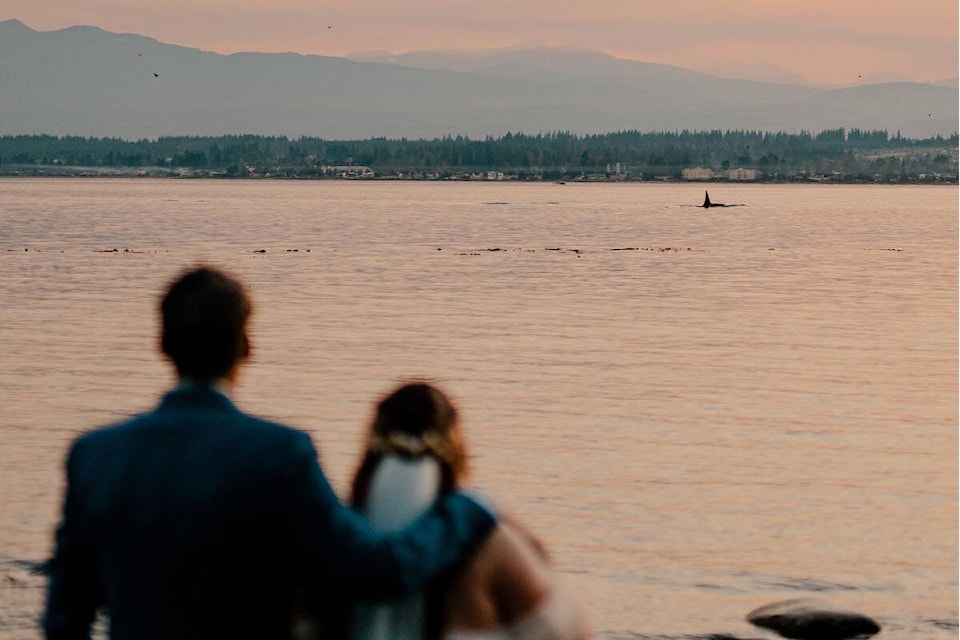 Blake and Morgan Belton had some surprise visitors as they exchanged their wedding vows on Quadra Island. Photo courtesy With Love Photography