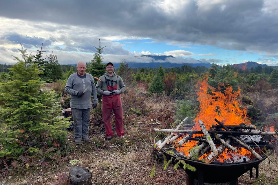 31217811_web1_221130-AVN-Christmas-tree-farms-ChristmasTrees2_4