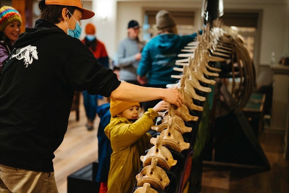 32151694_web1_230313-UWN-whale-festival-returns-WHALEFEST_1