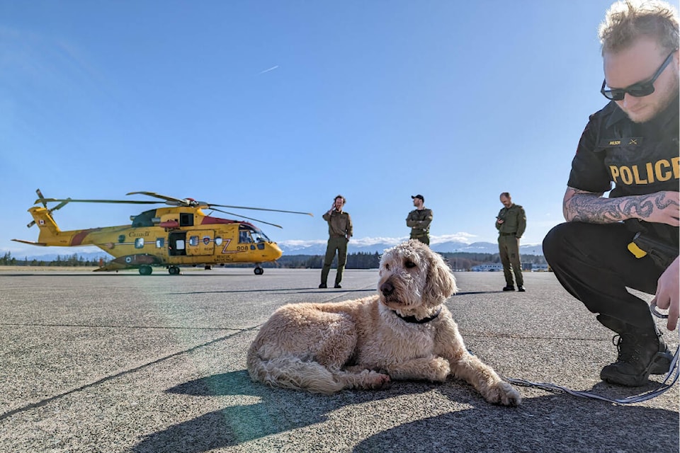 The rescued dog was fostered by a Military Police member until the two patients were released from the hospital. Photo via RCAF