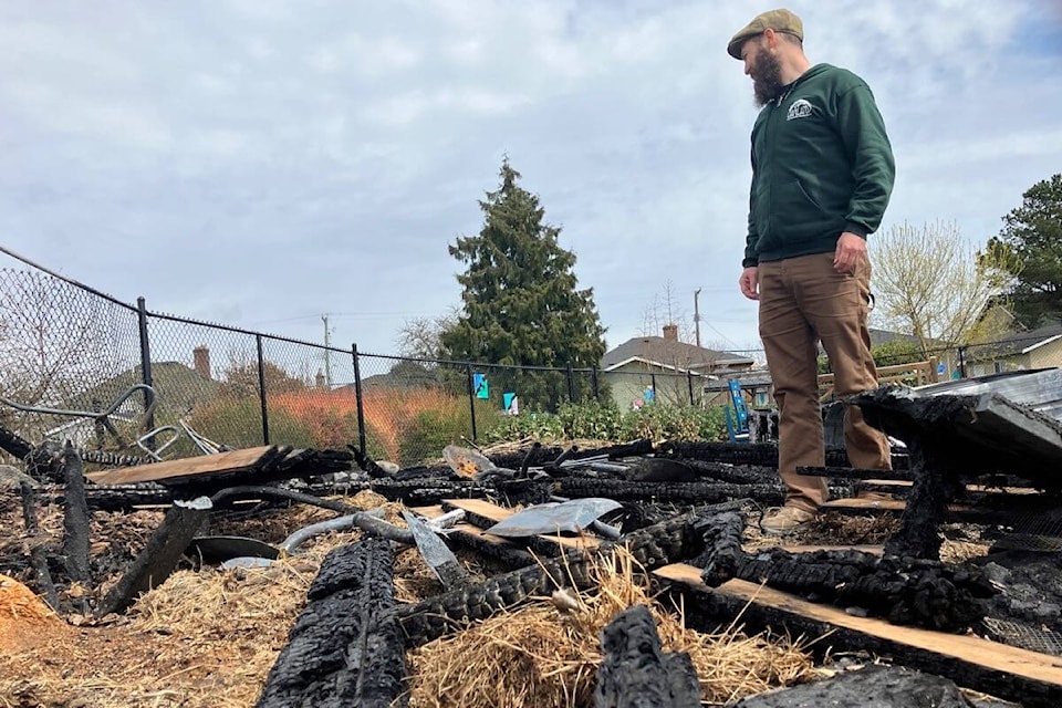Sandy Robertson, co-executive director of the Oaklands Community Association, surveys the damage after an early morning fire destroyed a chunk of the Victoria community garden in Oswald Park. (Christine van Reeuwyk/News Staff)
