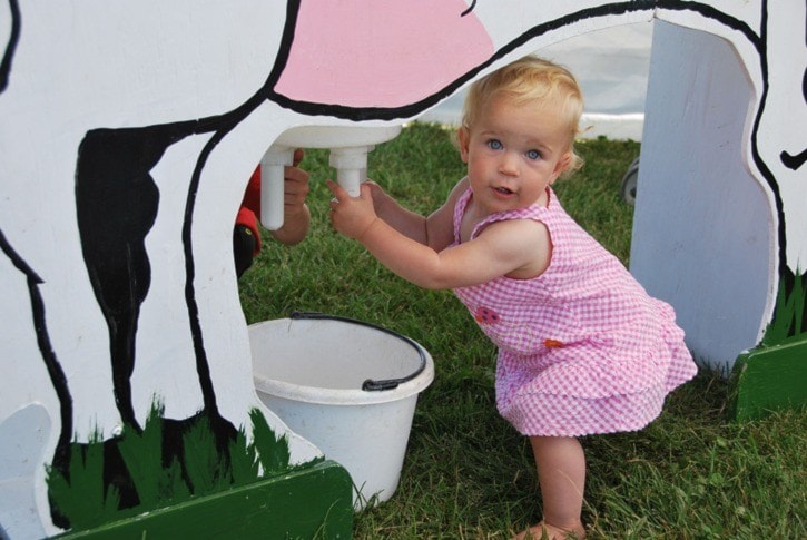 Zoey Alderson learning to milk a cow, never too early.
Photo by Helen Alderson