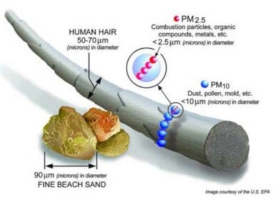 37523vanderhoofParticulateMatter