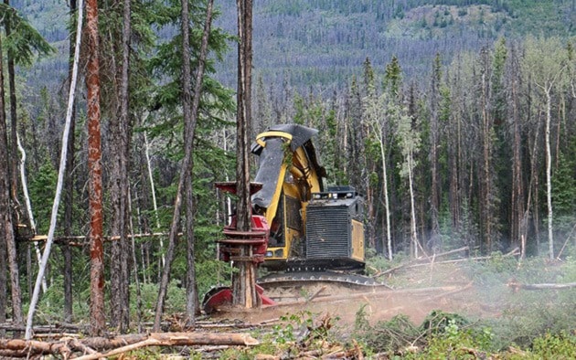 Winning entry submitted by Cheri Quinlan in Vanderhoof.