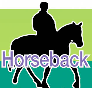 web1_horseposter