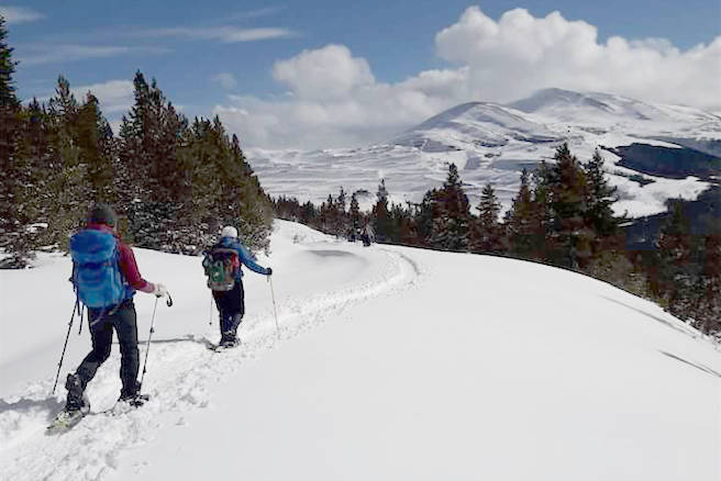 Snowshoeing through Tumbler Ridge and exploring the wildlife.