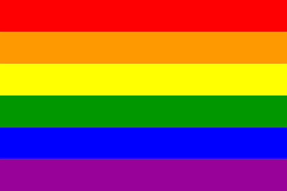 24372236_web1_210304-OEB-NVSSQueerAlliance-RainbowColoursDecal_1