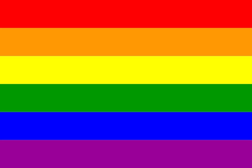 24372236_web1_210304-OEB-NVSSQueerAlliance-RainbowColoursDecal_1